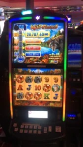 Cash-Fever-Wild-Fangs-scaled Cash Fever Wild Fangs scaled 1