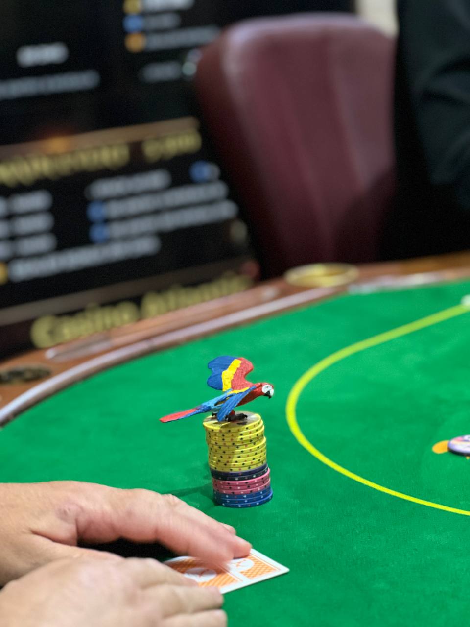 Agadir Poker Festival .5.26