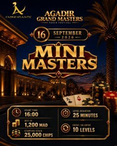 MINI MASTERS